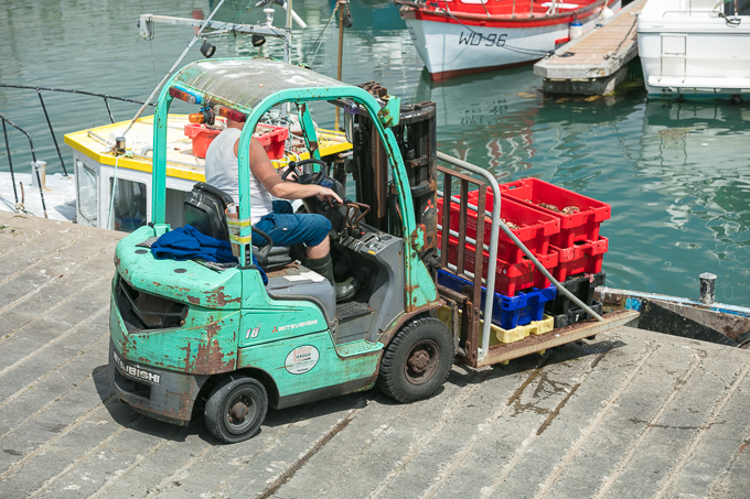 Kilmore Quay 2018 (008)